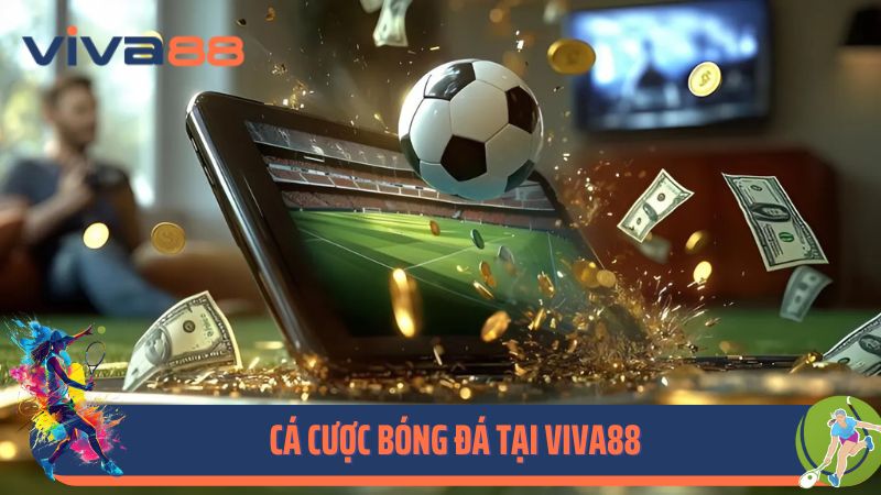 Cá cược bóng đá tại Viva88