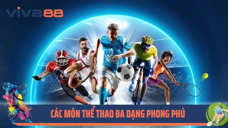 Các môn thể thao đa dạng phong phú